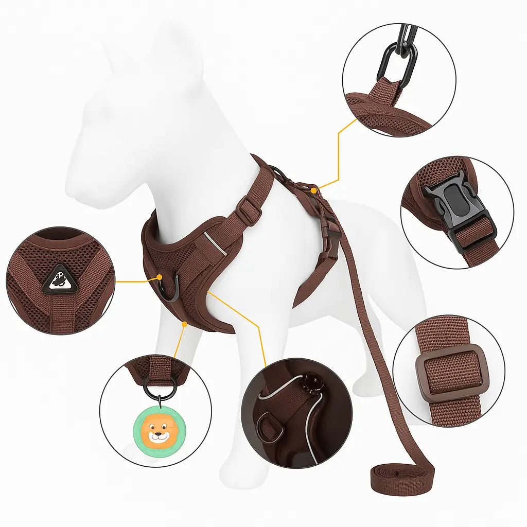 Harnais pour chien marron avec vues détaillées des boucles, sangles et mousqueton