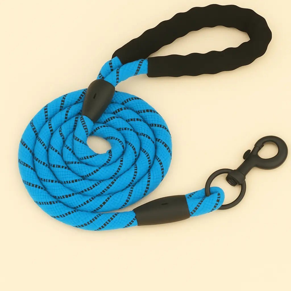 Laisse pour chien bleu clair 2 mètres avec poignée antidérapante et corde résistante