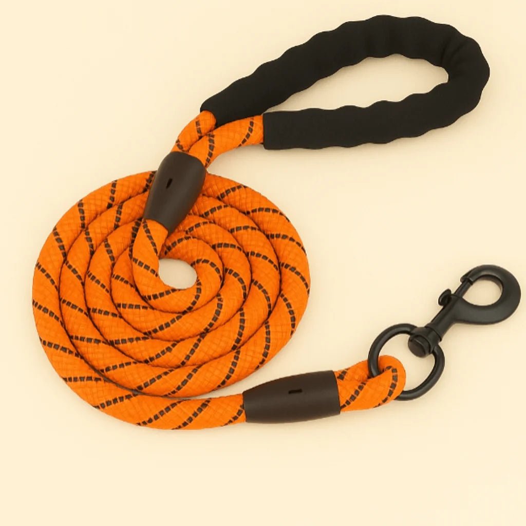 Laisse pour chien orange 2 mètres avec poignée en mousse et corde haute résistance