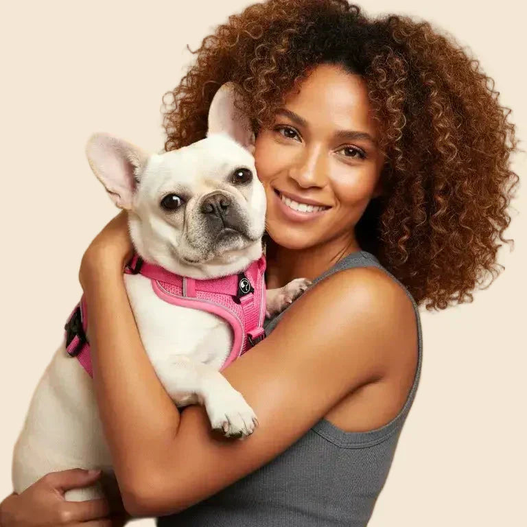 Comment bien choisir un harnais pour son chien ? (Guide 2025 basé sur la morphologie et la forme du harnais)