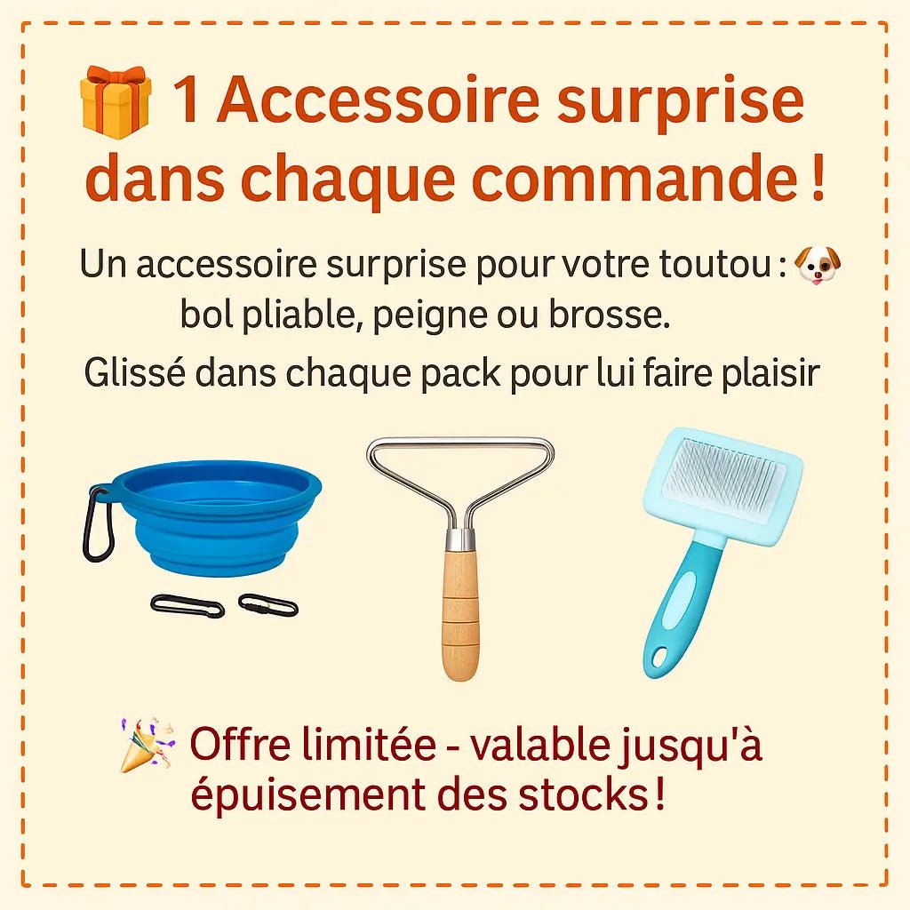 Accessoire surprise offert pour chien : bol pliable, peigne ou brosse dans chaque pack

