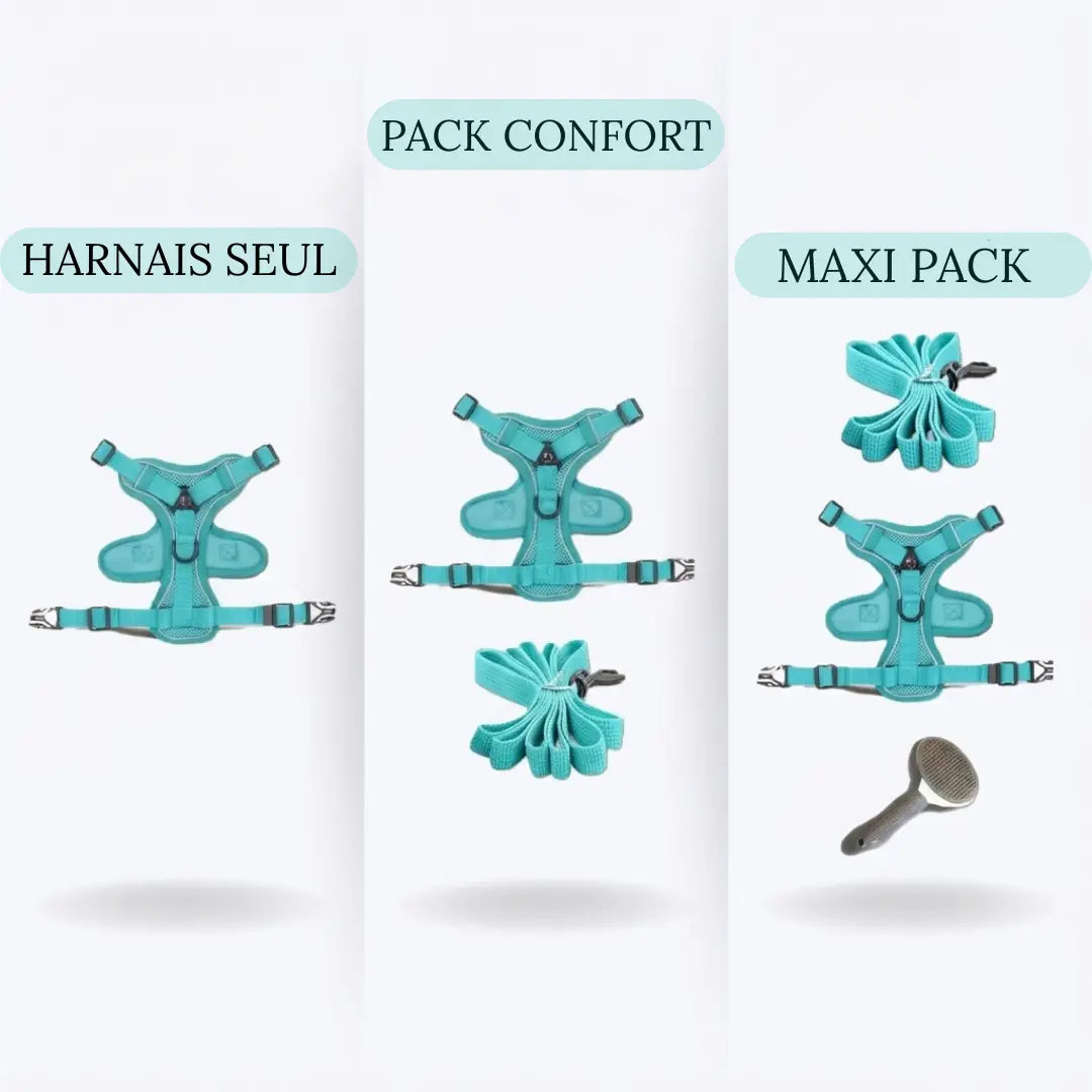 Comparatif des offres de harnais pour chien : harnais seul, pack confort avec laisse, et maxi pack avec laisse et brosse