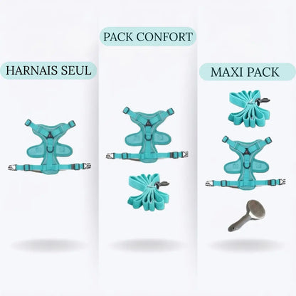 Comparatif des offres de harnais pour chien : harnais seul, pack confort avec laisse, et maxi pack avec laisse et brosse