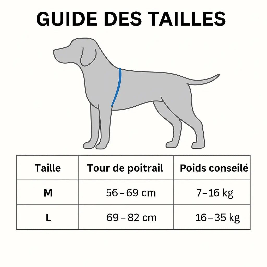 Illustration d’un chien avec un guide des tailles indiquant le tour de poitrail et le poids conseillé pour choisir la bonne taille de harnais