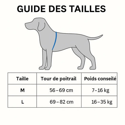 Illustration d’un chien avec un guide des tailles indiquant le tour de poitrail et le poids conseillé pour choisir la bonne taille de harnais