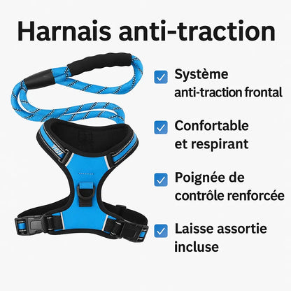 Harnais anti-traction bleu Skwatou avec laisse assortie, système anti-traction frontal, poignée de contrôle renforcée et tissu respirant, présenté sur fond blanc avec liste des caractéristiques