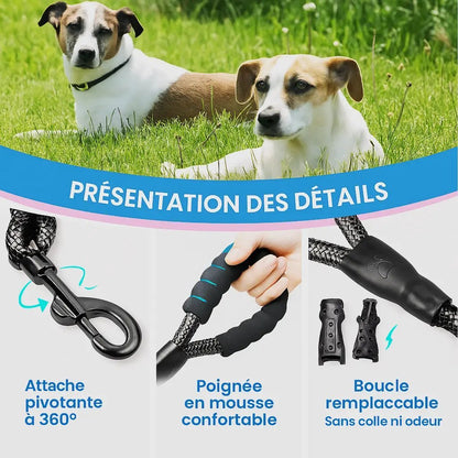 Détail de la laisse pour chien : attache pivotante, poignée en mousse confortable et boucle remplaçable – avec deux chiens assis sur l’herbe