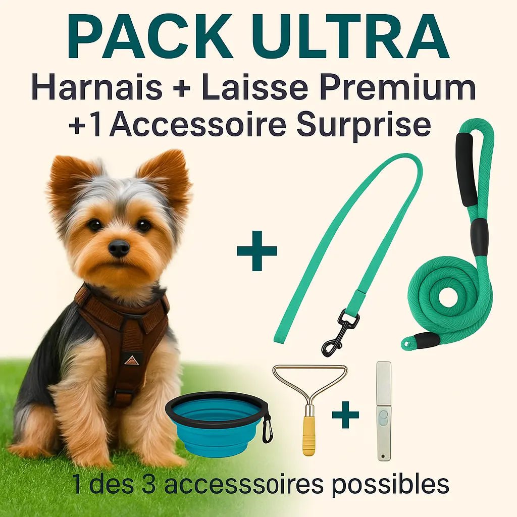 Pack Ultra pour chien avec harnais, laisse verte et un accessoire surprise

